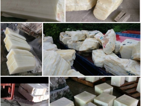 HÌNH ẢNH HOẠT ĐỘNG CỦA CÔNG TY